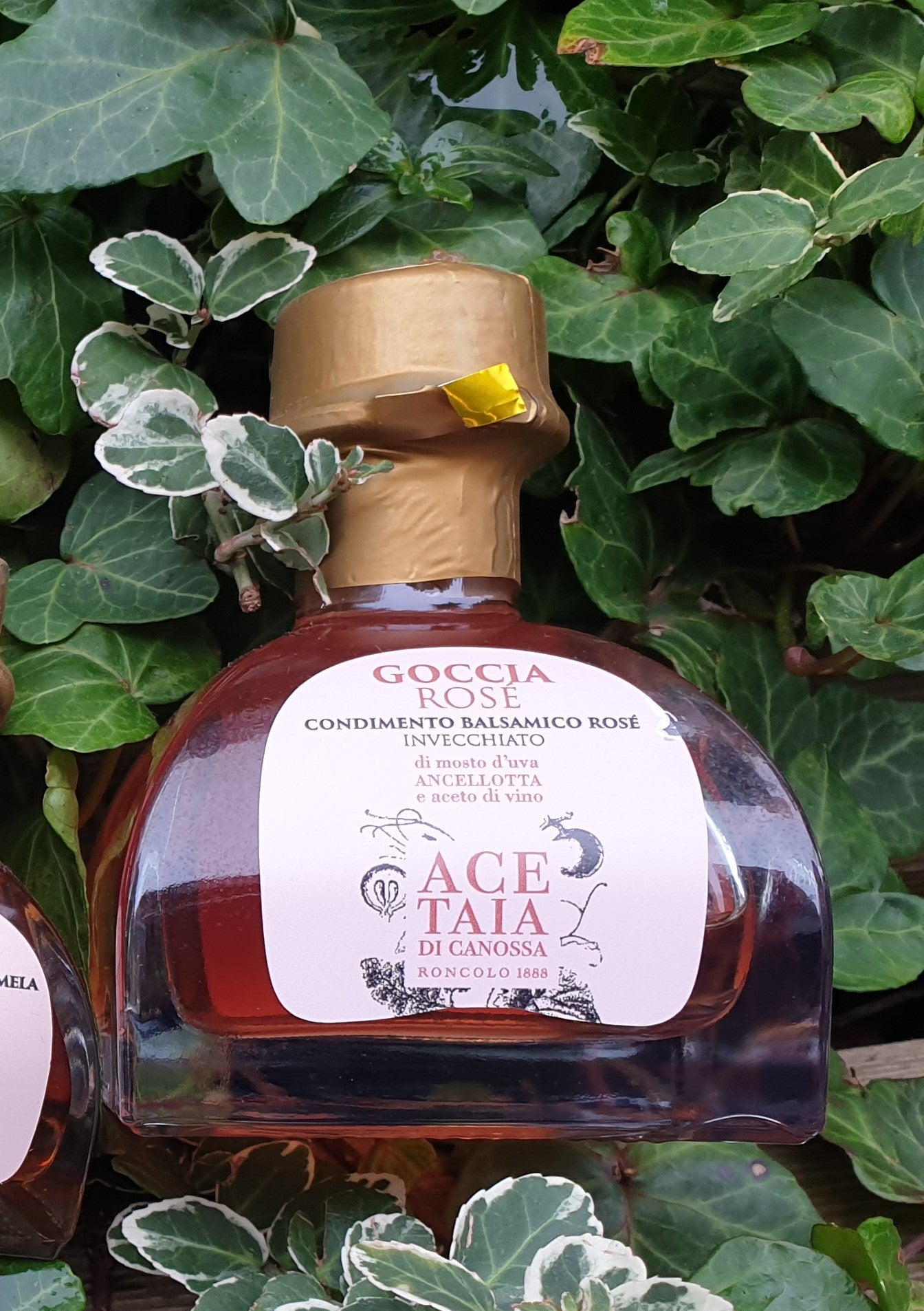 Il Gusto | Ace Taia Di Canossa | Goccia Balsamico |